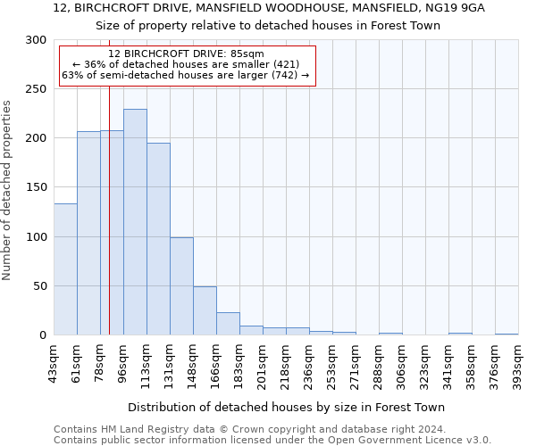 12, BIRCHCROFT DRIVE, MANSFIELD WOODHOUSE, MANSFIELD, NG19 9GA: Size of property relative to detached houses in Forest Town