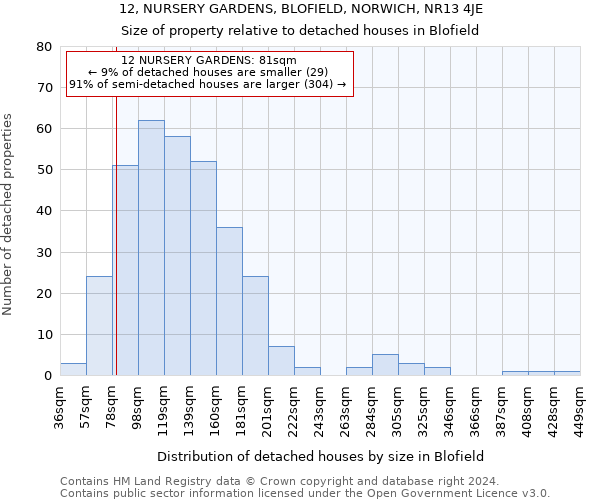 12, NURSERY GARDENS, BLOFIELD, NORWICH, NR13 4JE: Size of property relative to detached houses in Blofield