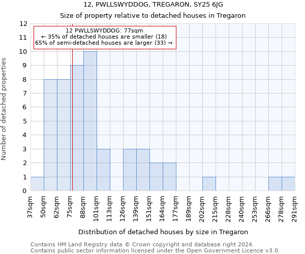 12, PWLLSWYDDOG, TREGARON, SY25 6JG: Size of property relative to detached houses in Tregaron