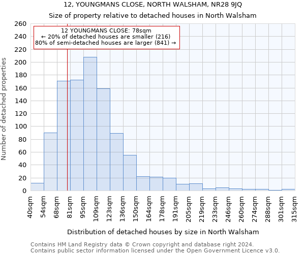 12, YOUNGMANS CLOSE, NORTH WALSHAM, NR28 9JQ: Size of property relative to detached houses in North Walsham