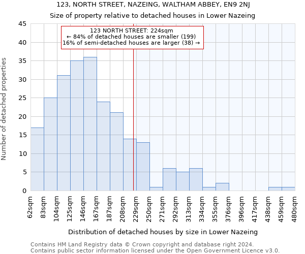 123, NORTH STREET, NAZEING, WALTHAM ABBEY, EN9 2NJ: Size of property relative to detached houses in Lower Nazeing
