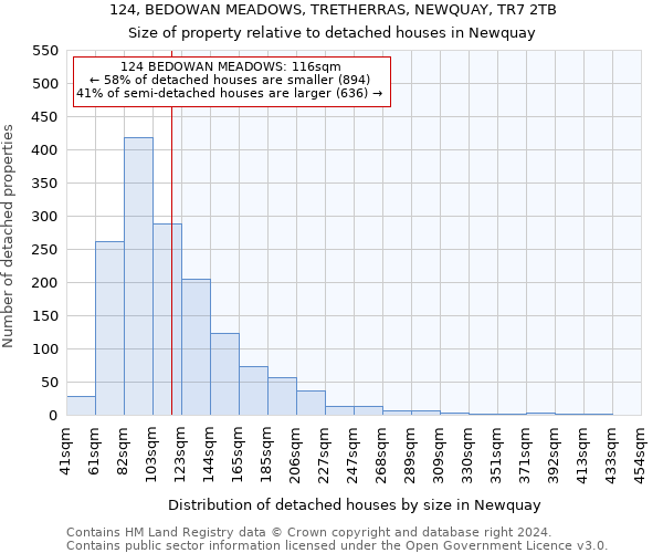 124, BEDOWAN MEADOWS, TRETHERRAS, NEWQUAY, TR7 2TB: Size of property relative to detached houses in Newquay