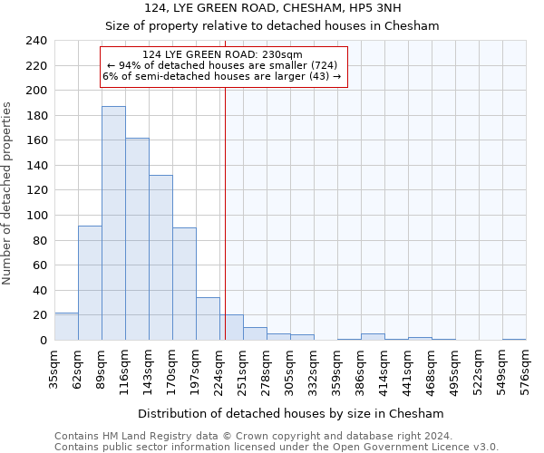 124, LYE GREEN ROAD, CHESHAM, HP5 3NH: Size of property relative to detached houses in Chesham