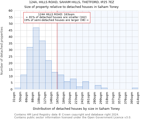 124A, HILLS ROAD, SAHAM HILLS, THETFORD, IP25 7EZ: Size of property relative to detached houses in Saham Toney