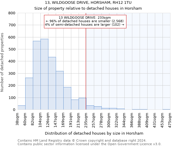 13, WILDGOOSE DRIVE, HORSHAM, RH12 1TU: Size of property relative to detached houses in Horsham