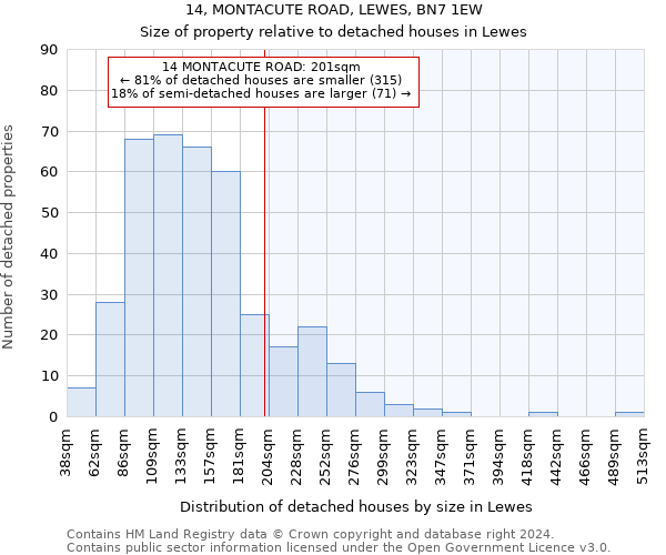14, MONTACUTE ROAD, LEWES, BN7 1EW: Size of property relative to detached houses in Lewes
