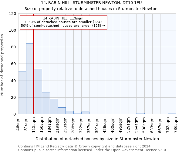14, RABIN HILL, STURMINSTER NEWTON, DT10 1EU: Size of property relative to detached houses in Sturminster Newton