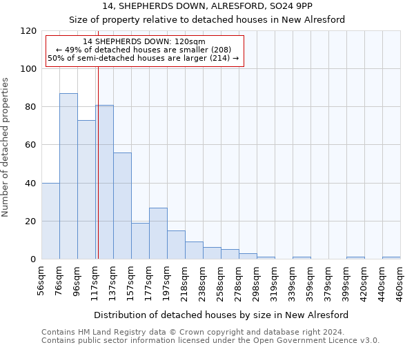 14, SHEPHERDS DOWN, ALRESFORD, SO24 9PP: Size of property relative to detached houses in New Alresford