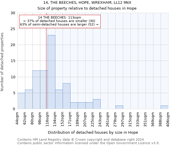 14, THE BEECHES, HOPE, WREXHAM, LL12 9NX: Size of property relative to detached houses in Hope