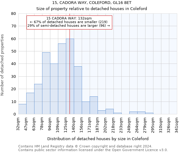 15, CADORA WAY, COLEFORD, GL16 8ET: Size of property relative to detached houses in Coleford