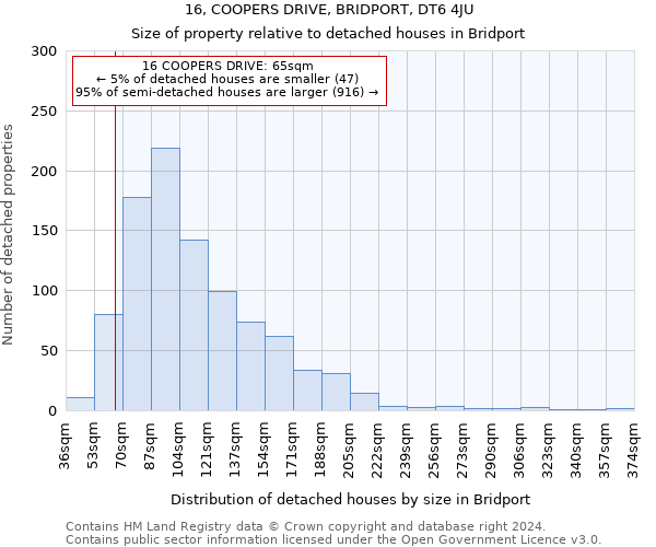 16, COOPERS DRIVE, BRIDPORT, DT6 4JU: Size of property relative to detached houses in Bridport