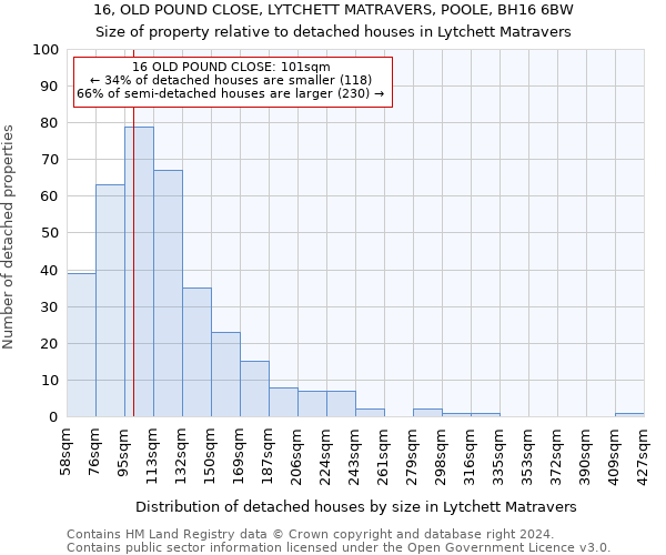 16, OLD POUND CLOSE, LYTCHETT MATRAVERS, POOLE, BH16 6BW: Size of property relative to detached houses in Lytchett Matravers
