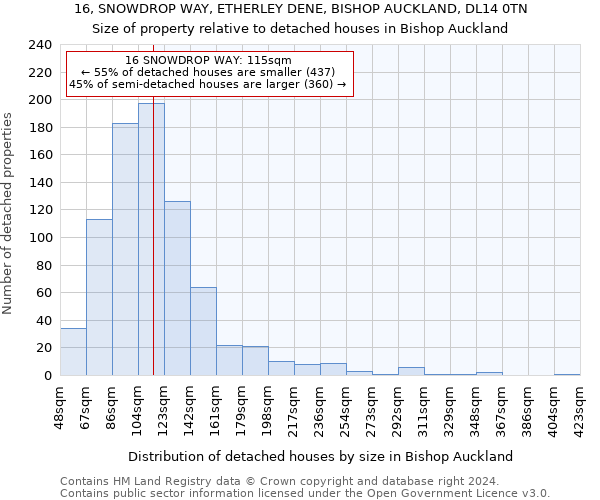 16, SNOWDROP WAY, ETHERLEY DENE, BISHOP AUCKLAND, DL14 0TN: Size of property relative to detached houses in Bishop Auckland
