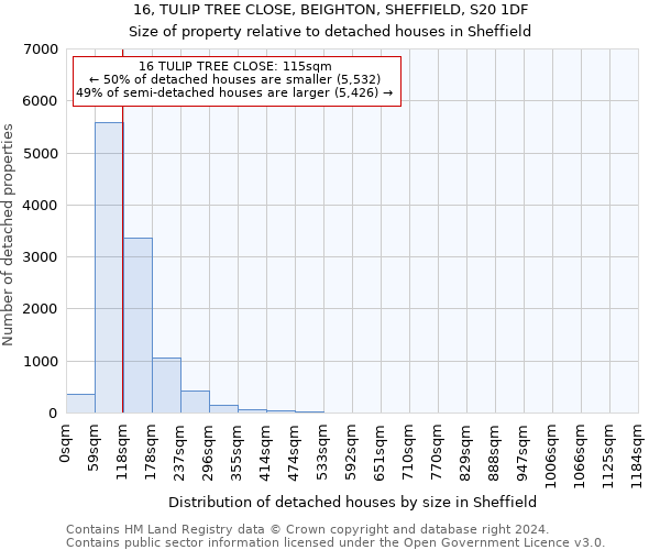 16, TULIP TREE CLOSE, BEIGHTON, SHEFFIELD, S20 1DF: Size of property relative to detached houses in Sheffield