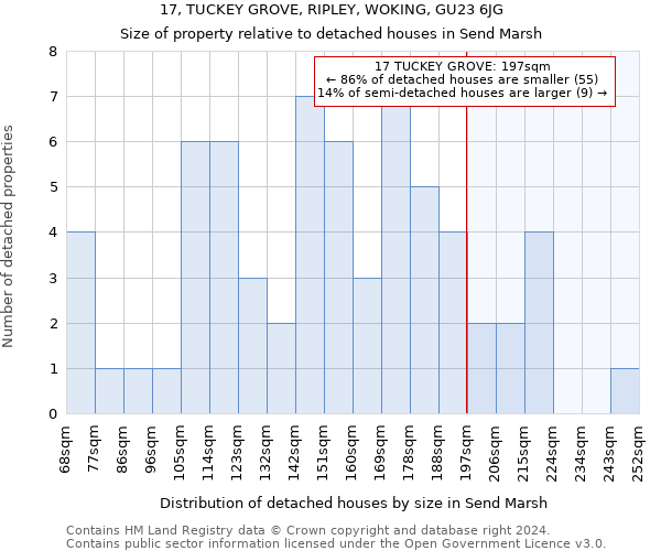 17, TUCKEY GROVE, RIPLEY, WOKING, GU23 6JG: Size of property relative to detached houses in Send Marsh