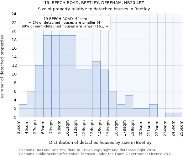 19, BEECH ROAD, BEETLEY, DEREHAM, NR20 4EZ: Size of property relative to detached houses in Beetley