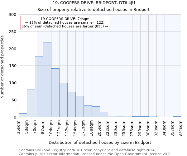 19, COOPERS DRIVE, BRIDPORT, DT6 4JU: Size of property relative to detached houses in Bridport