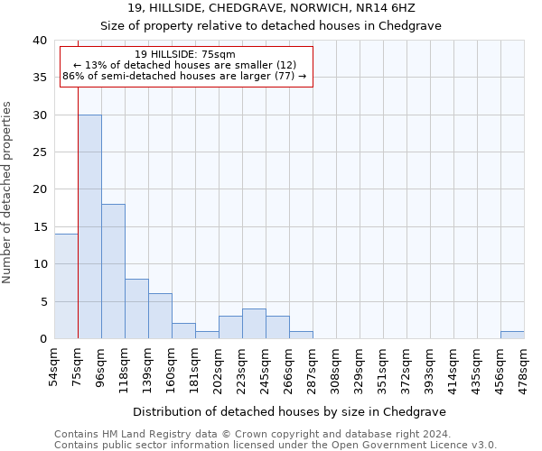 19, HILLSIDE, CHEDGRAVE, NORWICH, NR14 6HZ: Size of property relative to detached houses in Chedgrave