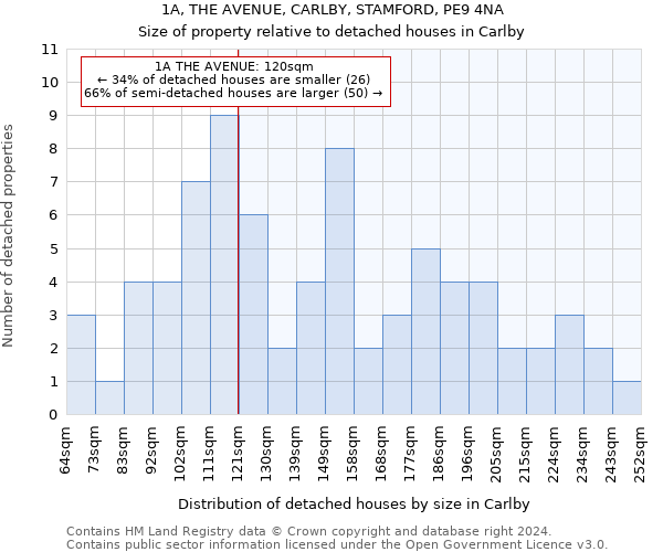 1A, THE AVENUE, CARLBY, STAMFORD, PE9 4NA: Size of property relative to detached houses in Carlby