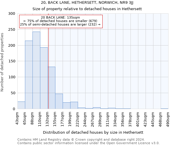 20, BACK LANE, HETHERSETT, NORWICH, NR9 3JJ: Size of property relative to detached houses in Hethersett