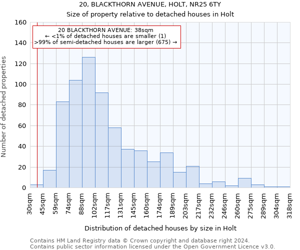 20, BLACKTHORN AVENUE, HOLT, NR25 6TY: Size of property relative to detached houses in Holt
