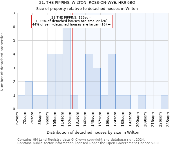21, THE PIPPINS, WILTON, ROSS-ON-WYE, HR9 6BQ: Size of property relative to detached houses in Wilton
