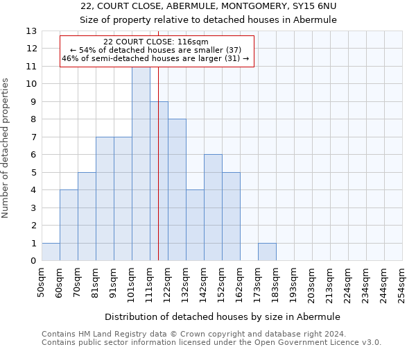 22, COURT CLOSE, ABERMULE, MONTGOMERY, SY15 6NU: Size of property relative to detached houses in Abermule