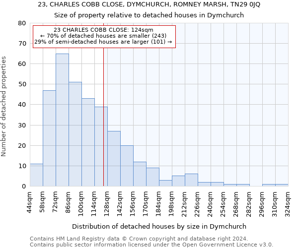23, CHARLES COBB CLOSE, DYMCHURCH, ROMNEY MARSH, TN29 0JQ: Size of property relative to detached houses in Dymchurch