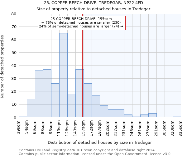 25, COPPER BEECH DRIVE, TREDEGAR, NP22 4FD: Size of property relative to detached houses in Tredegar