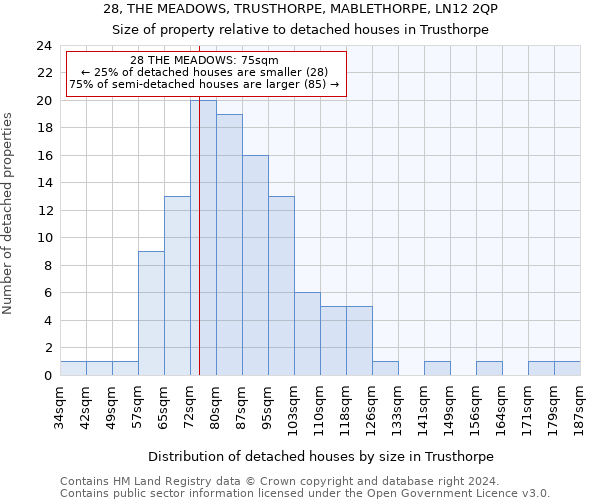 28, THE MEADOWS, TRUSTHORPE, MABLETHORPE, LN12 2QP: Size of property relative to detached houses in Trusthorpe