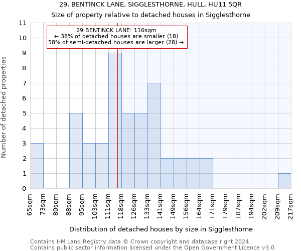 29, BENTINCK LANE, SIGGLESTHORNE, HULL, HU11 5QR: Size of property relative to detached houses in Sigglesthorne