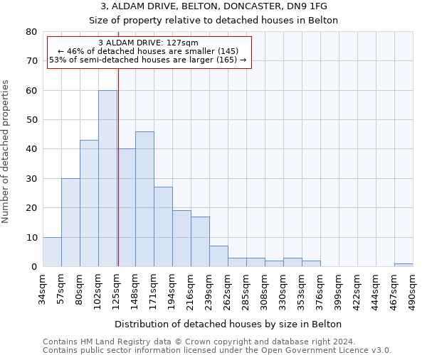3, ALDAM DRIVE, BELTON, DONCASTER, DN9 1FG: Size of property relative to detached houses in Belton