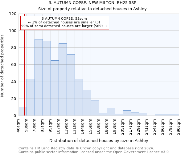 3, AUTUMN COPSE, NEW MILTON, BH25 5SP: Size of property relative to detached houses in Ashley