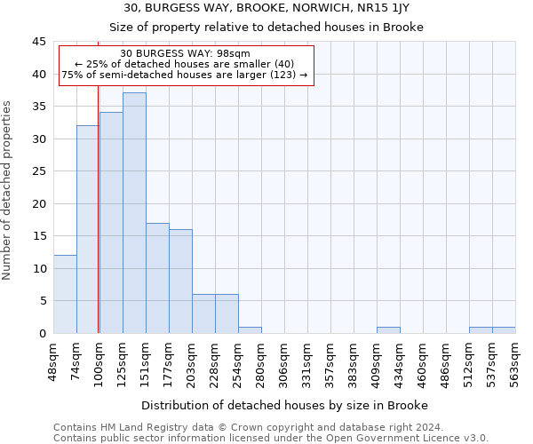 30, BURGESS WAY, BROOKE, NORWICH, NR15 1JY: Size of property relative to detached houses in Brooke