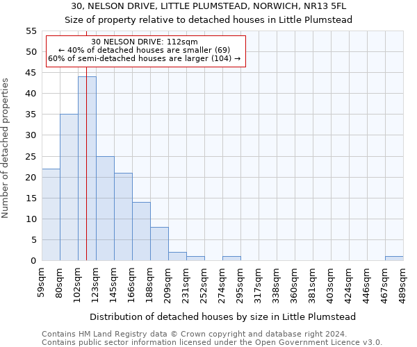 30, NELSON DRIVE, LITTLE PLUMSTEAD, NORWICH, NR13 5FL: Size of property relative to detached houses in Little Plumstead