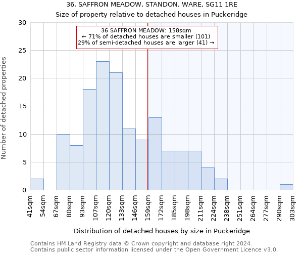 36, SAFFRON MEADOW, STANDON, WARE, SG11 1RE: Size of property relative to detached houses in Puckeridge