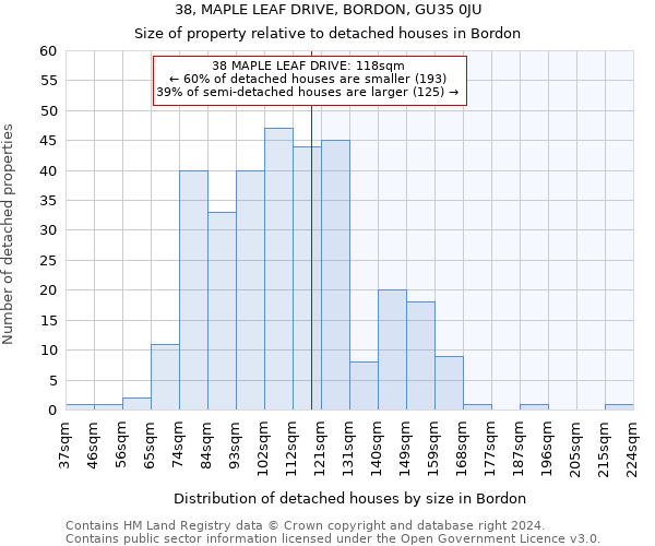 38, MAPLE LEAF DRIVE, BORDON, GU35 0JU: Size of property relative to detached houses in Bordon