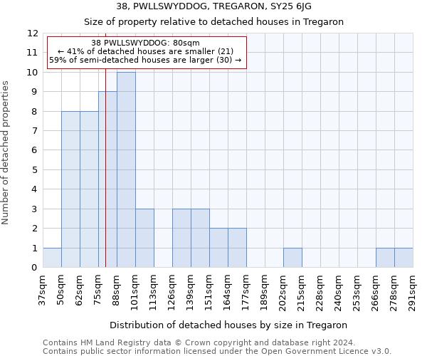 38, PWLLSWYDDOG, TREGARON, SY25 6JG: Size of property relative to detached houses in Tregaron