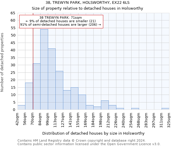 38, TREWYN PARK, HOLSWORTHY, EX22 6LS: Size of property relative to detached houses in Holsworthy