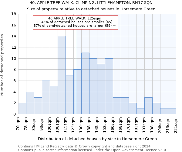 40, APPLE TREE WALK, CLIMPING, LITTLEHAMPTON, BN17 5QN: Size of property relative to detached houses in Horsemere Green