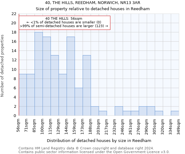 40, THE HILLS, REEDHAM, NORWICH, NR13 3AR: Size of property relative to detached houses in Reedham