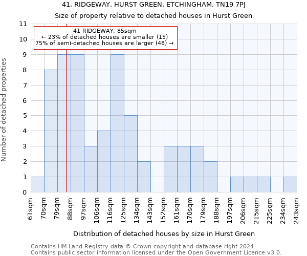 41, RIDGEWAY, HURST GREEN, ETCHINGHAM, TN19 7PJ: Size of property relative to detached houses in Hurst Green