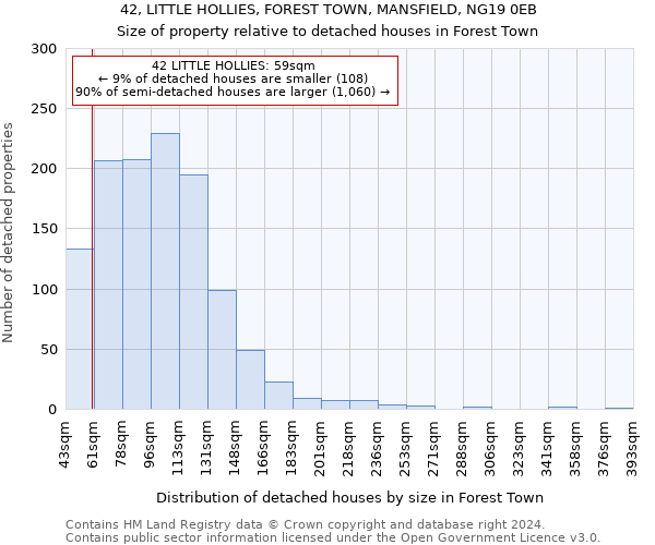 42, LITTLE HOLLIES, FOREST TOWN, MANSFIELD, NG19 0EB: Size of property relative to detached houses in Forest Town