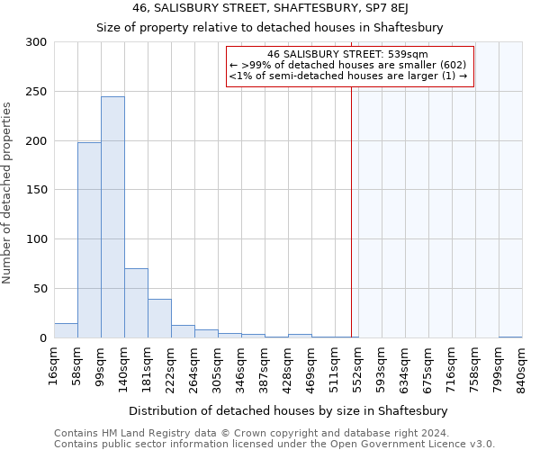 46, SALISBURY STREET, SHAFTESBURY, SP7 8EJ: Size of property relative to detached houses in Shaftesbury