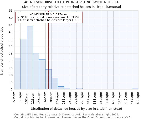 48, NELSON DRIVE, LITTLE PLUMSTEAD, NORWICH, NR13 5FL: Size of property relative to detached houses in Little Plumstead