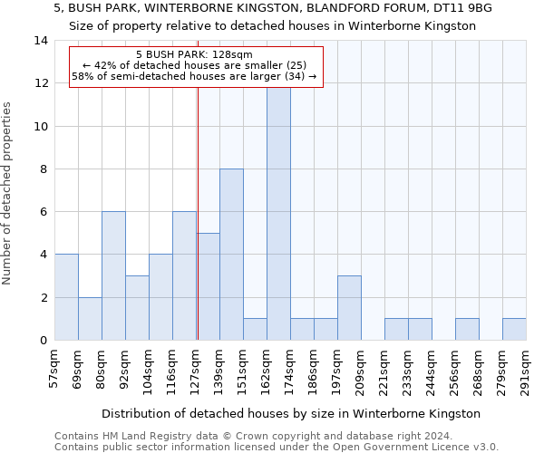 5, BUSH PARK, WINTERBORNE KINGSTON, BLANDFORD FORUM, DT11 9BG: Size of property relative to detached houses in Winterborne Kingston