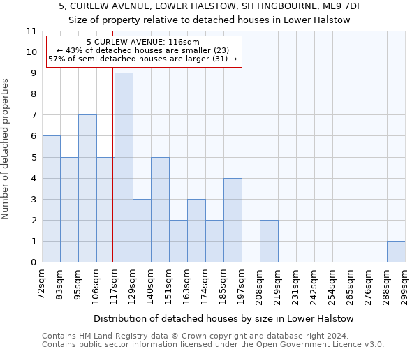 5, CURLEW AVENUE, LOWER HALSTOW, SITTINGBOURNE, ME9 7DF: Size of property relative to detached houses in Lower Halstow