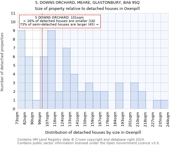 5, DOWNS ORCHARD, MEARE, GLASTONBURY, BA6 9SQ: Size of property relative to detached houses in Oxenpill
