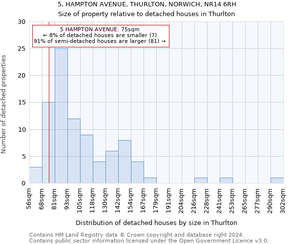 5, HAMPTON AVENUE, THURLTON, NORWICH, NR14 6RH: Size of property relative to detached houses in Thurlton