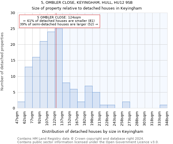 5, OMBLER CLOSE, KEYINGHAM, HULL, HU12 9SB: Size of property relative to detached houses in Keyingham